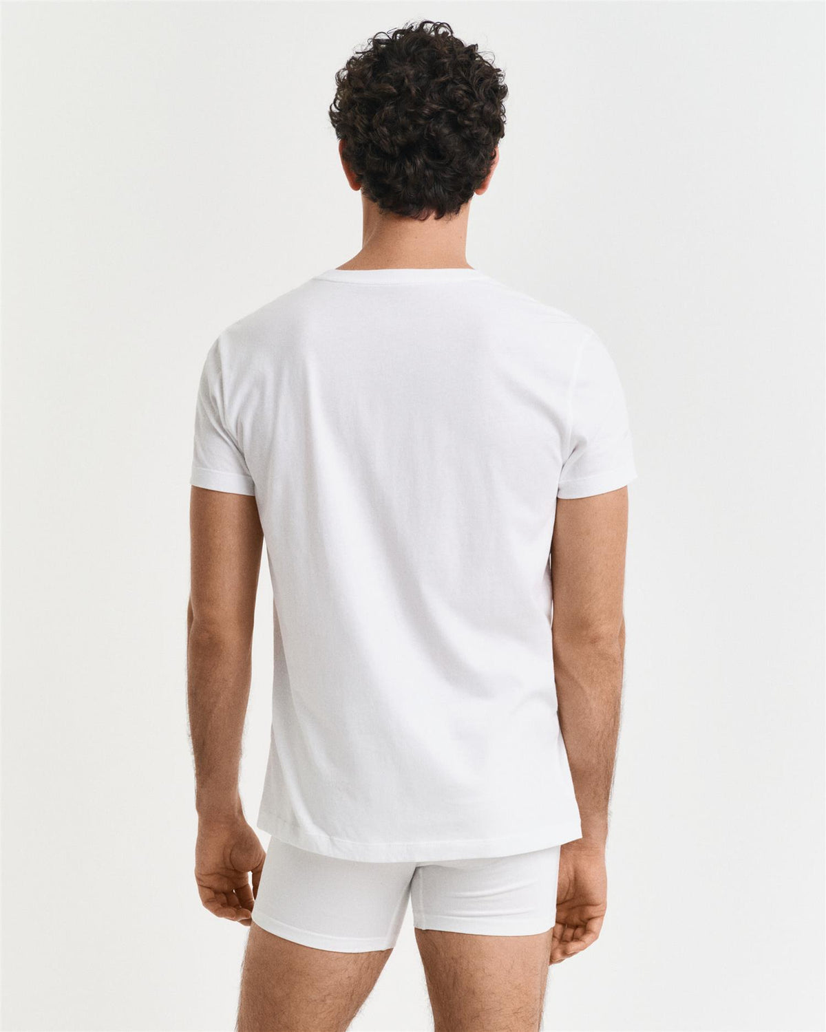 v-neck t-shirt 2-pack
