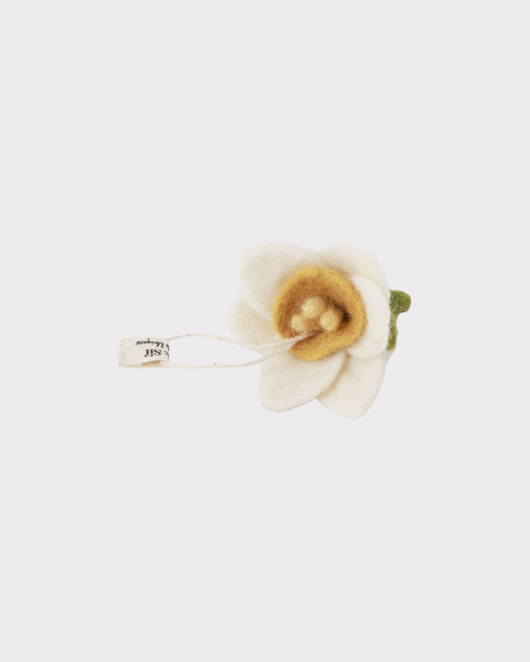 blomst påskelilje